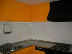 DSCN2738