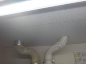DSC03561