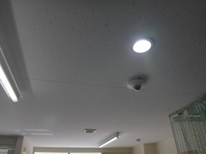 DSC03564